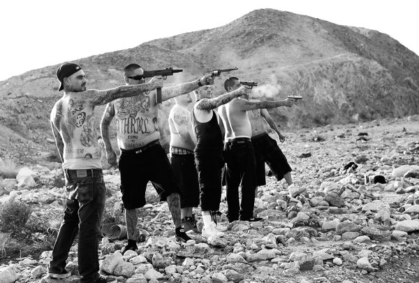 Голубь гангста