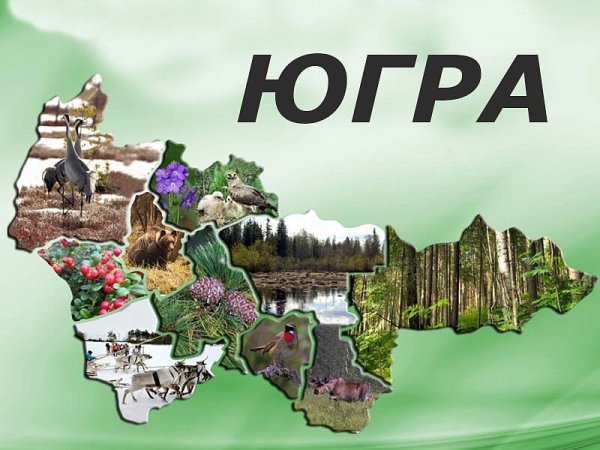 Югра мой край родной