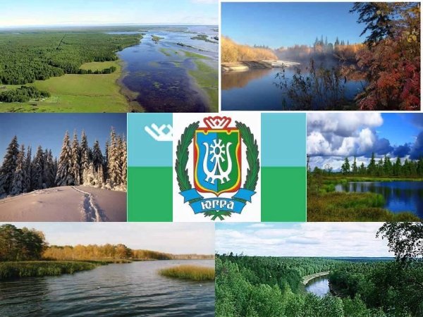 Мой край Югра