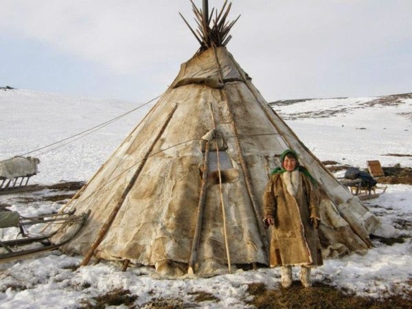 Нганасаны жилище