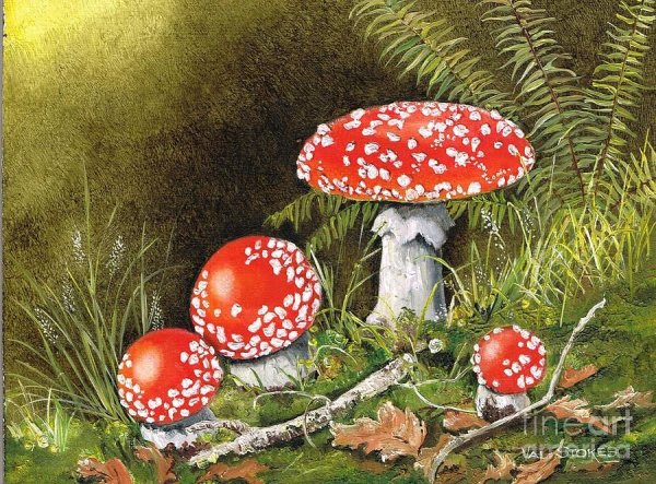 Картина Amanita muscaria