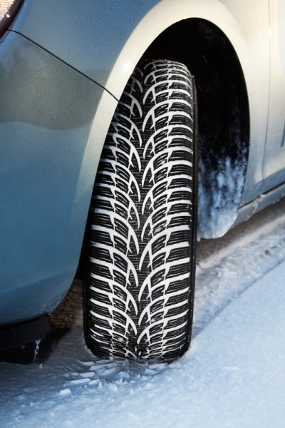 Зимние шины Nokian WR d3