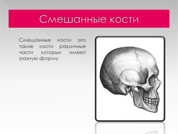 Смешанные кости человека