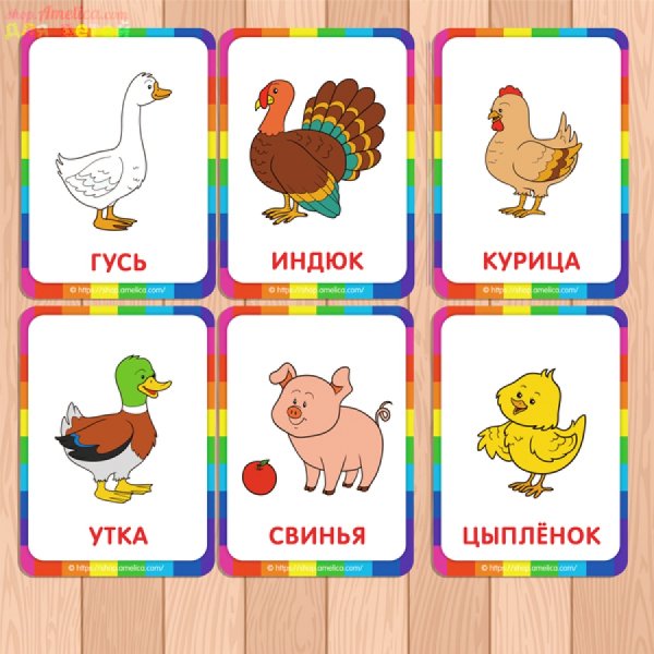 Карточки с животными для детей