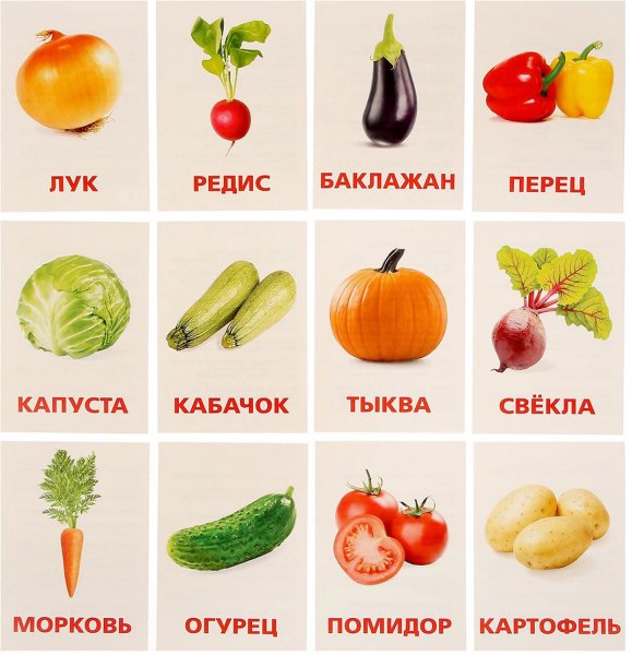 Карточки. Овощи