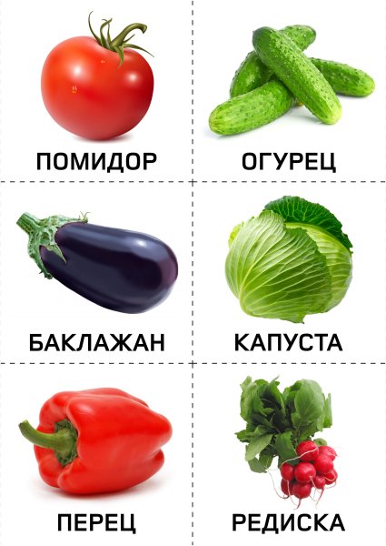 Овощи для детей