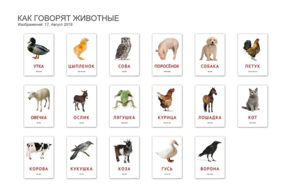 Карточки животных для детей