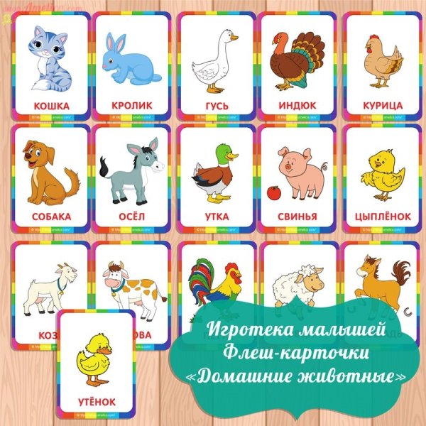 Детские карточки