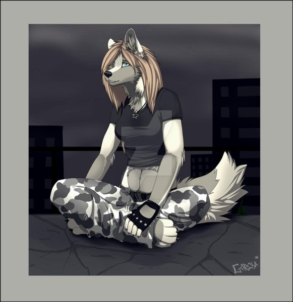 Коул Фардример