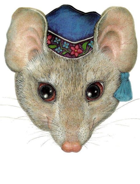 Голова мышки