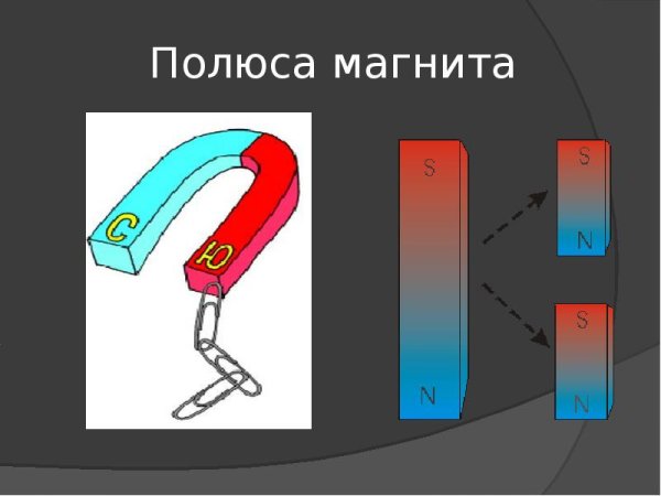 Полюса магнита