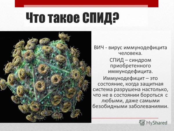 Вирус СПИДА