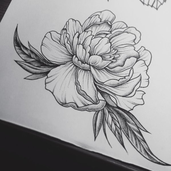 Тату пион linework