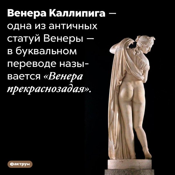 Скульптуры древней Греции Венера Каллипига