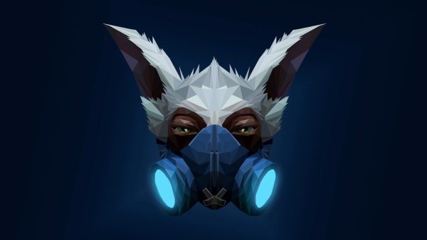 Dota МИПО