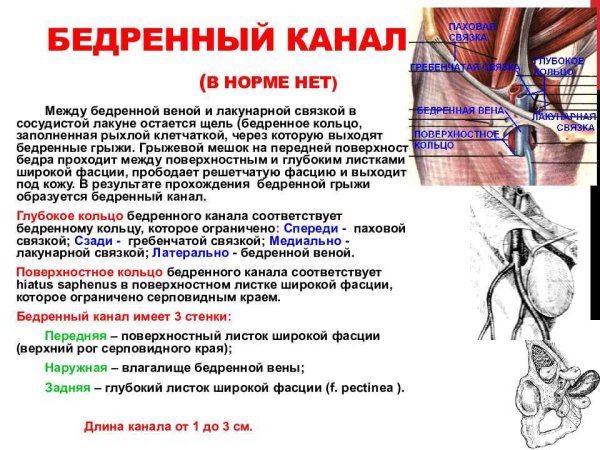 Глубокое кольцо бедренного канала сзади ограничено