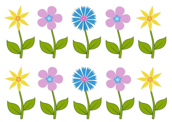 Цветы рисунок