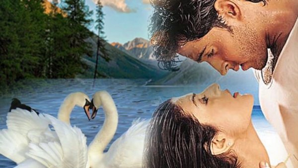 Любовь людей и лебедей