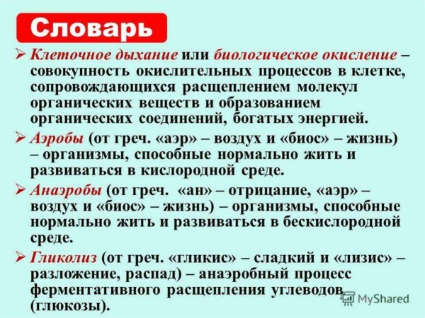 Аэробное и анаэробное дыхание формула