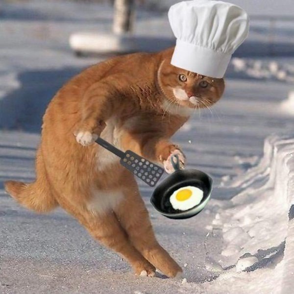 Кошка повар