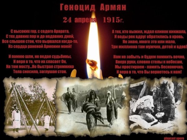 Цицернакаберд Незабудка