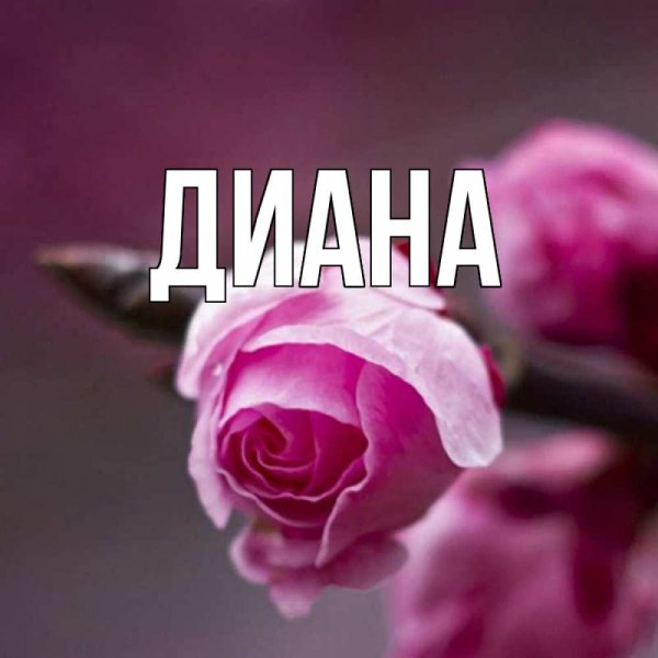 Диана открытка