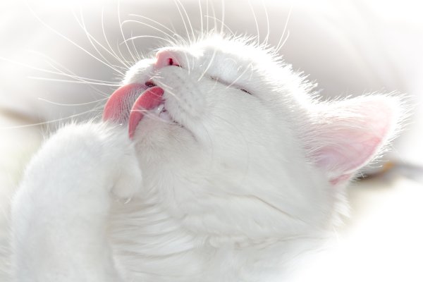 Иллюстрация ребенок умывается