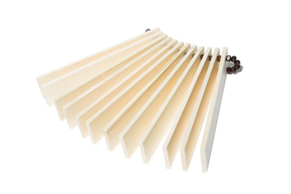 Трещетка пластинчатая веерная