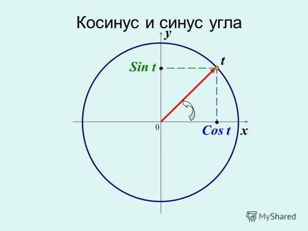 Синус на окружности