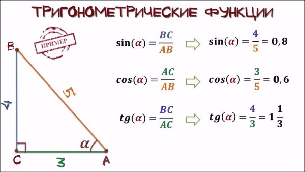 Теорема Пифагора синус косинус тангенс