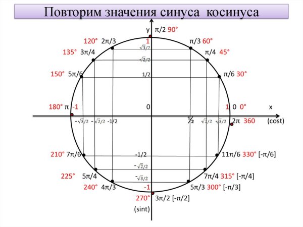 Значения синусов и косинусов на окружности