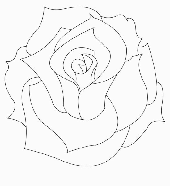 Картинки розы контур (50 фото)