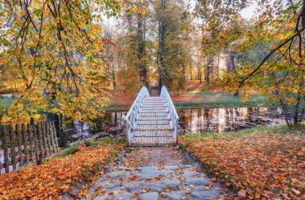 Пушгоры осенью Михайловское