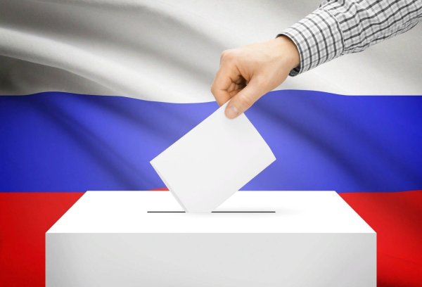 Выборы картинки