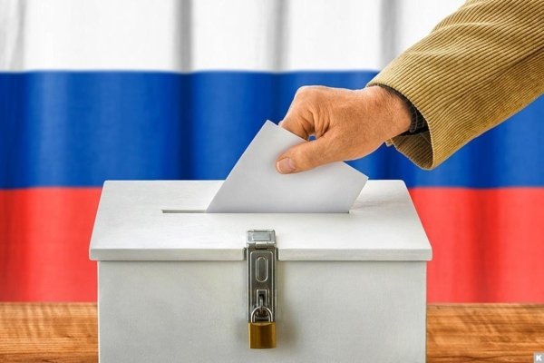 Участие в выборах