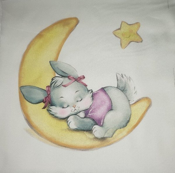 Спящий Зайка на Луне