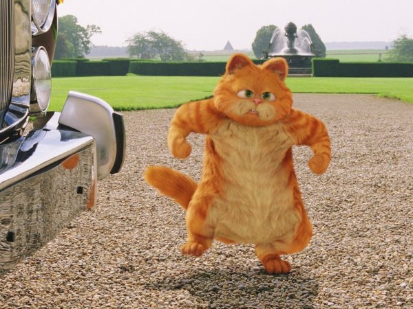 Мультик про рыжего кота Гарфилд