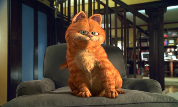 Кот Гарфилд мультфильм