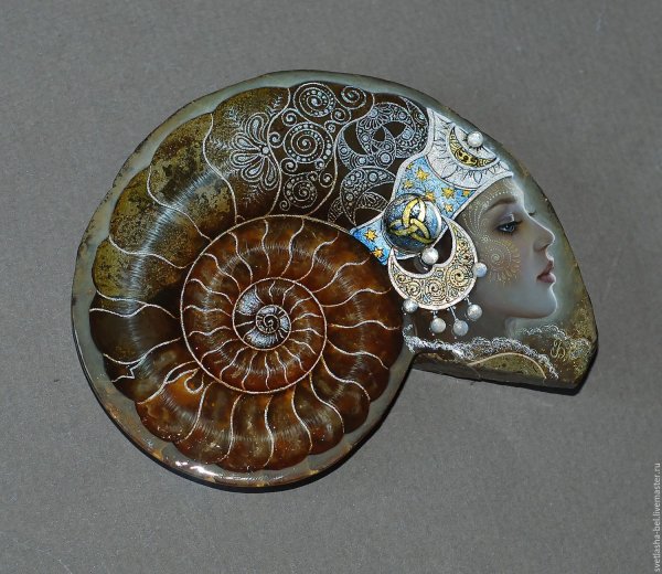 Светлана Беловодова аммониты