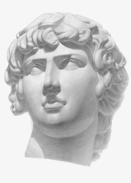 Рисунок головы Антиноя в МАРХИ