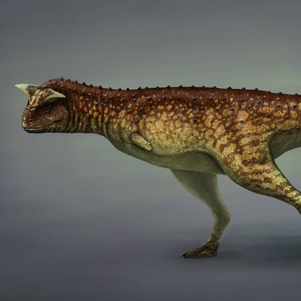 Карнотавр динозавр