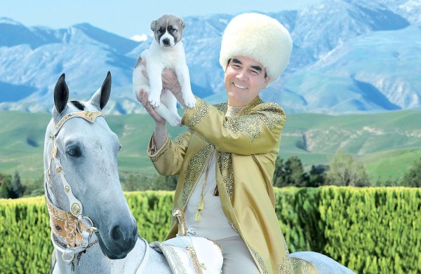 Гурбангулы Бердымухаммедов алабай