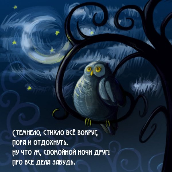 Сова в лесу