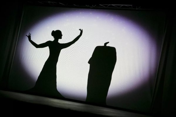 Театр теней надпись