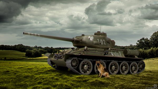Т 34 85 Руди