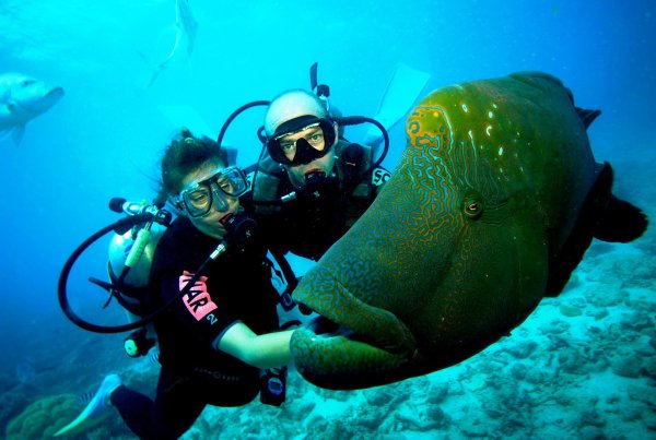 Дайвинг Scuba