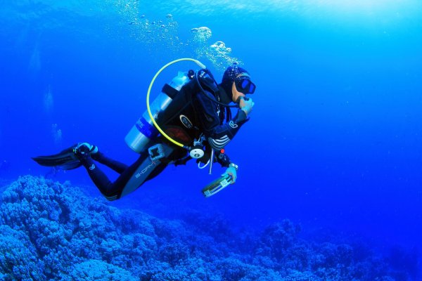 Дайвинг Scuba