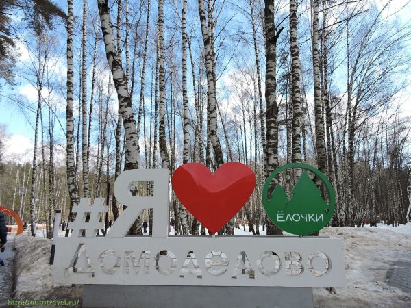 Городской парк елочки Домодедово