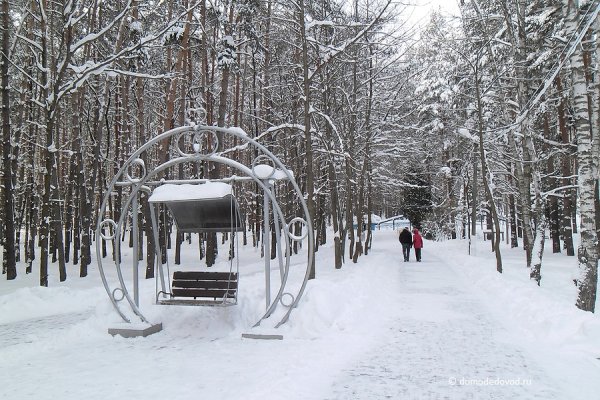 Парк ёлочки в Домодедово