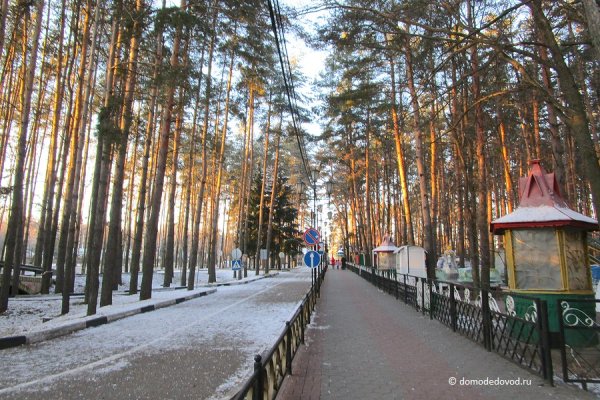 ПКИО елочки Домодедово